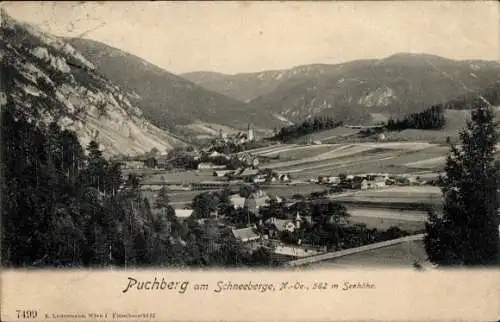 Ak Puchberg am Schneeberg Niederösterreich, Gesamtansicht