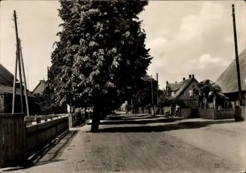 Ak Sukow in Mecklenburg, Dorfstraße