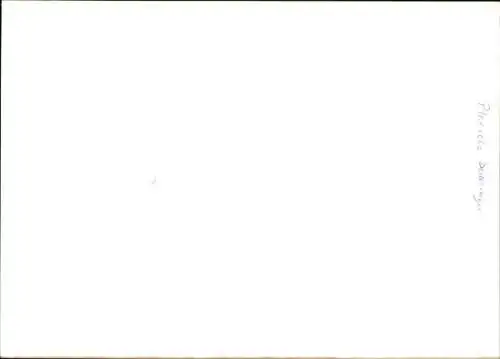 Foto Opernsänger Plácido Domingo, Portrait