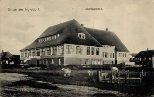 Ak Norddorf auf Amrum Nordfriesland, Ambronenhaus