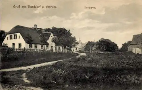 Ak Norddorf auf Amrum Nordfriesland, Dorfpartie