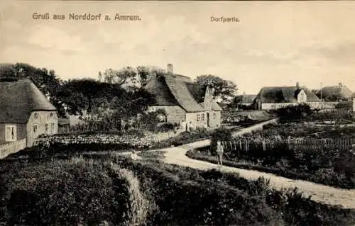 Ak Norddorf auf Amrum Nordfriesland, Dorfpartie