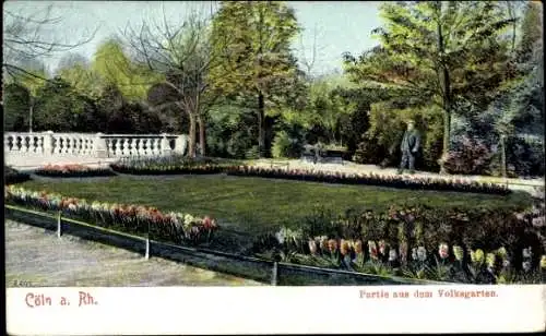 Ak Köln am Rhein, Volksgarten, Blumen