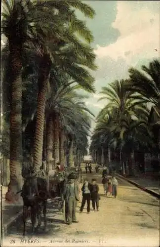 Ak Hyères Var, Avenue des Palmiers