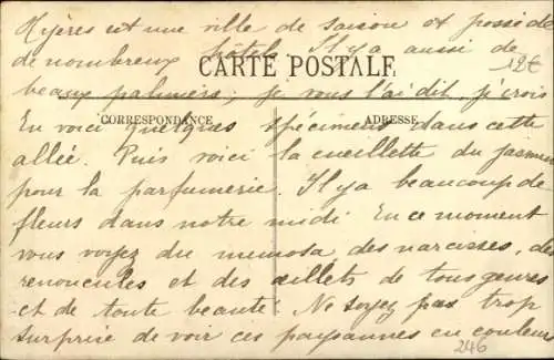 Ak Hyères Var, Avenue des Palmiers