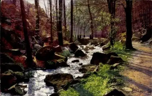 Photochromie Ak NOD Serie 258 Nr 4081, Bach im Wald