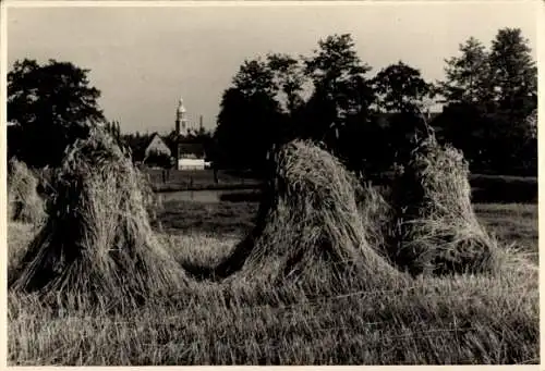 Foto Marienthal Zwickau in Sachsen,Feldpartie