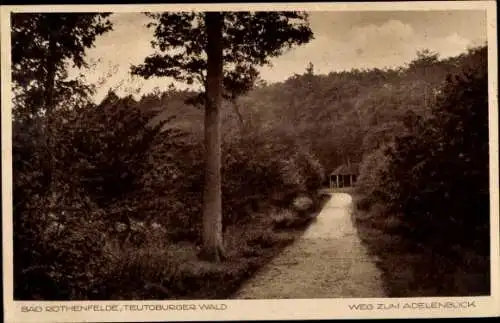 Ak Bad Rothenfelde am Teutoburger Wald, Weg zum Adelenblick