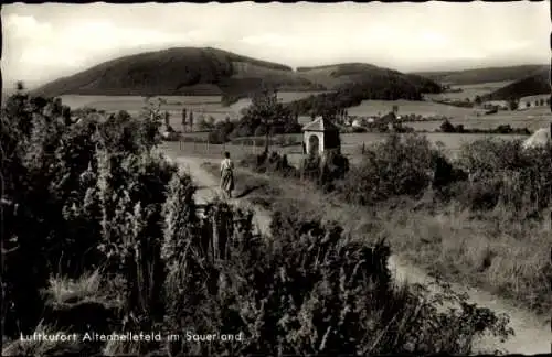 Ak Altenhellefeld Sundern Sauerland, Panorama, Feldweg