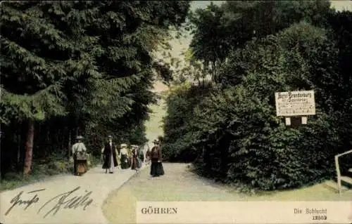 Ak Ostseebad Göhren auf Rügen, Die Schlucht