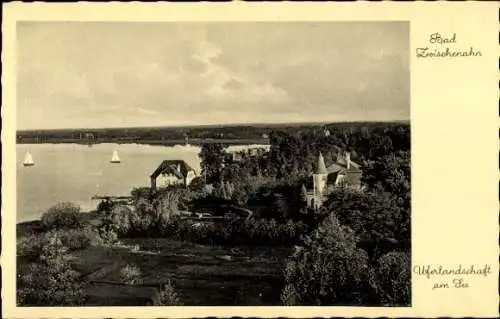 Ak Bad Zwischenahn in Oldenburg, Uferlandschaft am See