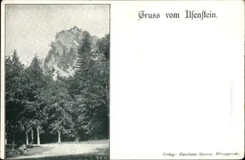 Ak Ilsenstein, Wald