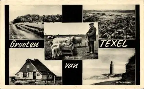 Ak Texel Nordholland Niederlande, Schäfer mit Schafherde, Haus, Leuchtturm, Landschaft