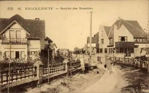 CPA Zoute Knokke Heist Flandre occidentale, Sentier des Mouettes