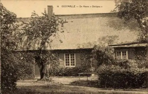 CPA Oostmalle Malle Flandre Anvers, De Hoeve Dieltjens