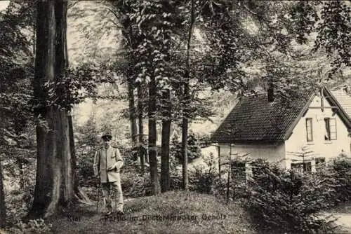 Ak Kiel in Schleswig Holstein, Partie im Düsternbrooker Gehölz