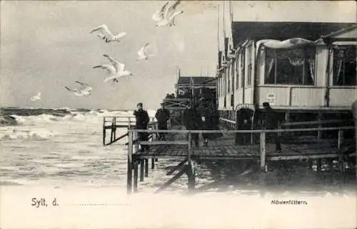 Ak Westerland Insel Sylt, Blick auf die Nordsee, Möwenfütterung