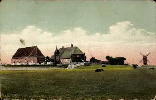 Ak Hamburger Hallig Nordfriesland, Hof, Windmühle