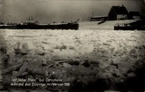 Foto Ak Gernsheim am Rhein Hessen, Eisgang auf dem Rhein Februar 1929