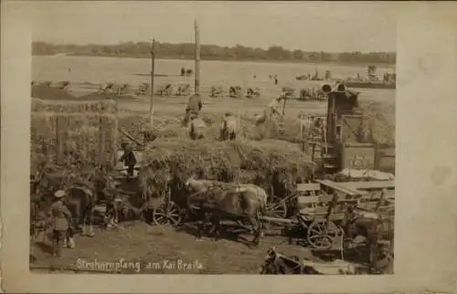 Foto Ak Brăila Rumänien, Strohempfang am Hafen, Fuhrwerke