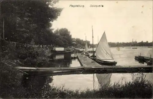 Ak Magdeburg an der Elbe, Salzquelle, Stege, Segelboote