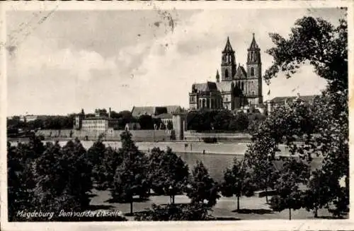 Ak Magdeburg an der Elbe, Teilansicht, Dom, Blick von Elbseite