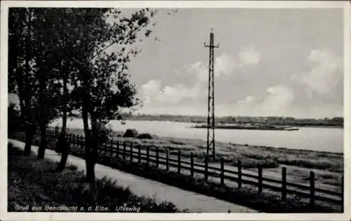 Ak Geesthacht an der Elbe, Panorama, Uferweg