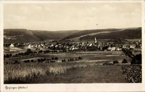 Ak Geisingen in Baden, Totalansicht
