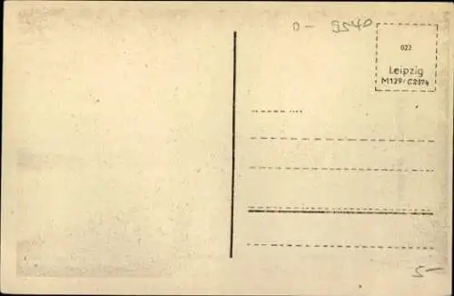 Ak Zwickau in Sachsen, Schwanenteich
