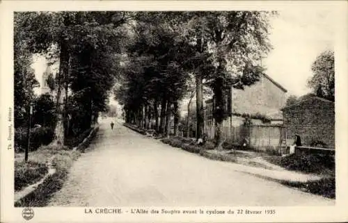 Ak La Crèche Deux Sevres,  L'Allée des Soupirs avant le cyclone 1935