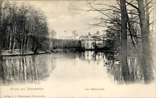 Ak Eberswalde in der Mark, Partie am Mühlenteich