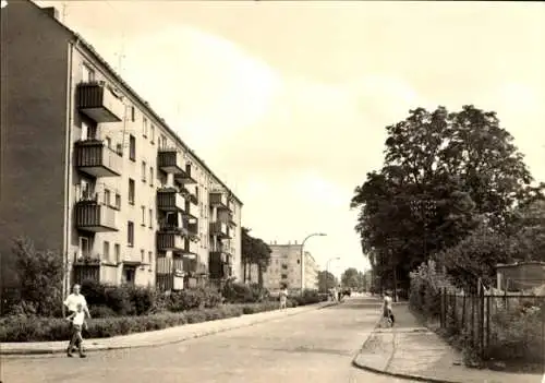 Ak Finow Eberswalde in der Mark, Schönholzer Straße