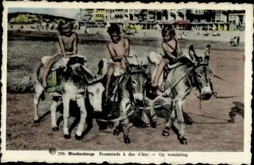 Ak Blankenberghe Blankenberge Westflandern, Kinder reiten auf Eseln am Strand