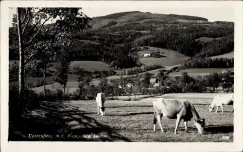 Ak Unternberg im Lungau in Salzburg, Gesamtansicht, Kampstein, Kühe