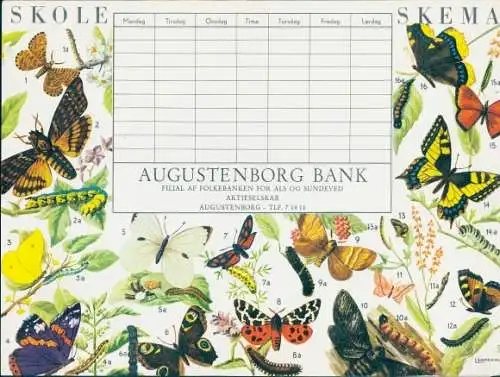 Stundenplan Reklame, Augustenborg Bank, Schmetterlinge