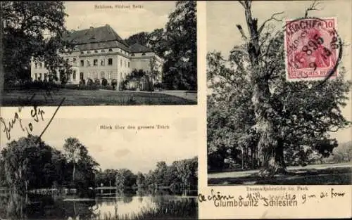 Ak Głębowice Glumbowitz Schlesien, Schloss, Tausendjahreiche im Park, großer Teich