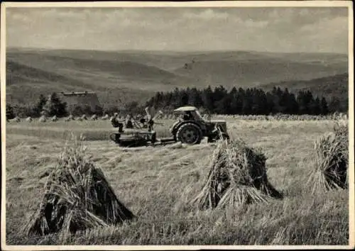 Ak Kratzhammer Altenberg im Erzgebirge, Traktor auf einem Feld