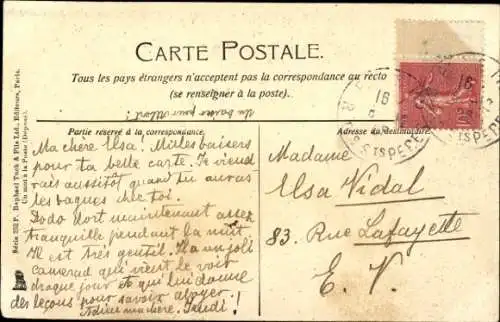 Ak Portrait zweier Katzen