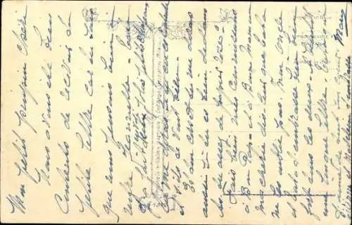 Künstler Ak Portrait zweier Katzen