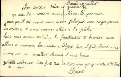 Ak Portrait zweier Katzen