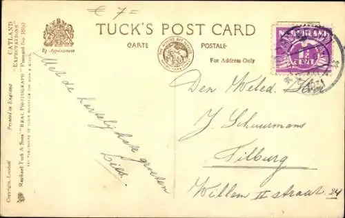 Ak Portrait zweier Katzen