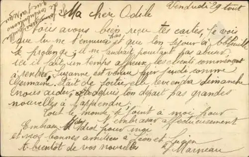 Ak Portrait zweier Katzen, Rosenkorb