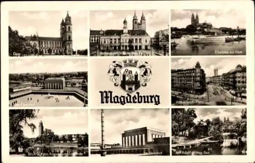 Ak Magdeburg an der Elbe, Dom, Hasselbach Platz, Ehrenhof, Rathaus, Adolf Mittag See