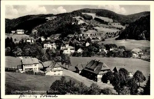 Ak Todtmoos im Schwarzwald, Panorama