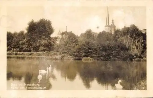 Ak Burg bei Magdeburg, Flickschuteich