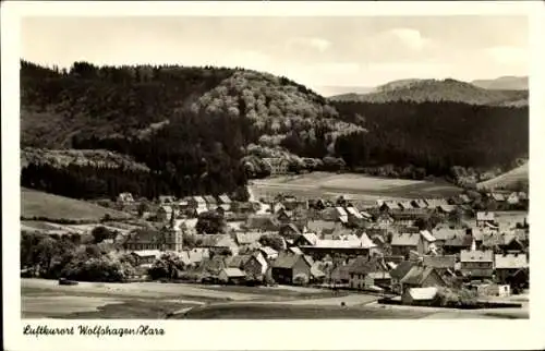 Ak Wolfshagen Langelsheim am Harz, Gesamtansicht