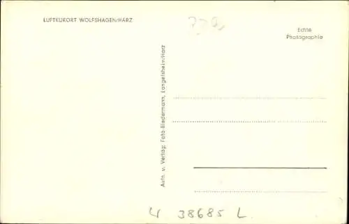 Ak Wolfshagen Langelsheim am Harz, Gesamtansicht