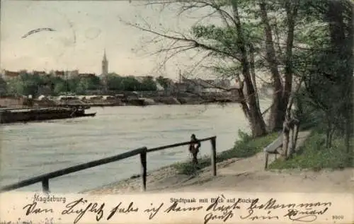 Ak Magdeburg an der Elbe, Stadtpark, Buckau