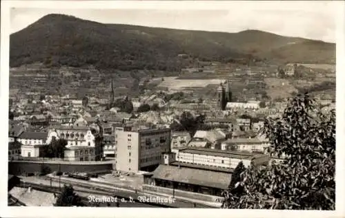 Ak Neustadt an der Weinstraße, Gesamtansicht