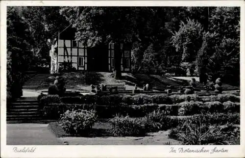 Ak Bielefeld in Nordrhein Westfalen, Botanischer Garten